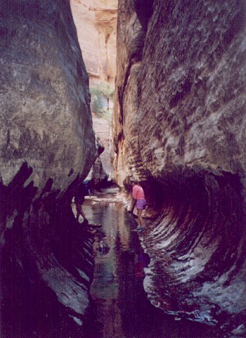 Zion National Park Pictures